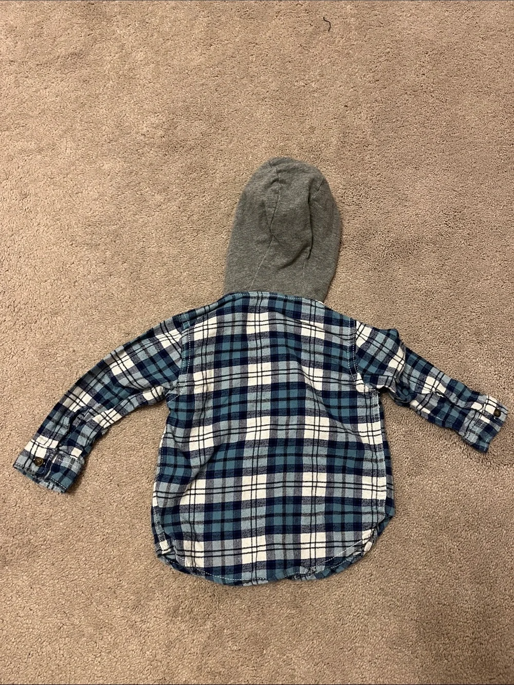 Carter's Blue and White Plaid Button-Down with Gray Hood
